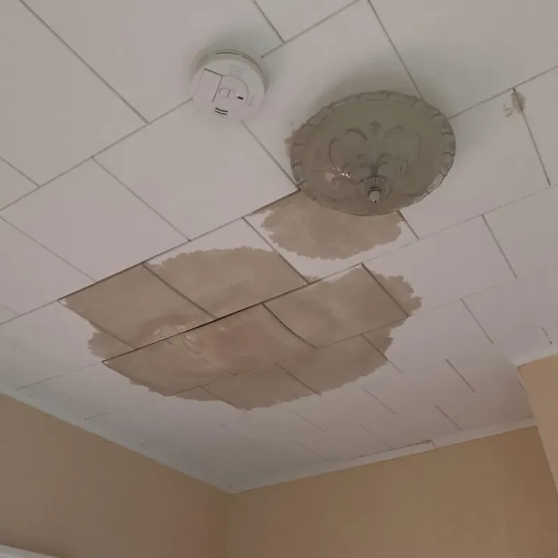 Ceiling Water Damage Repair in Cookeville, TN