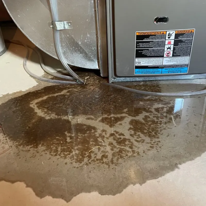 Pipe Burst and Leak Restoration in Cookeville, TN